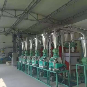 6FTDP-50型地平式方篩